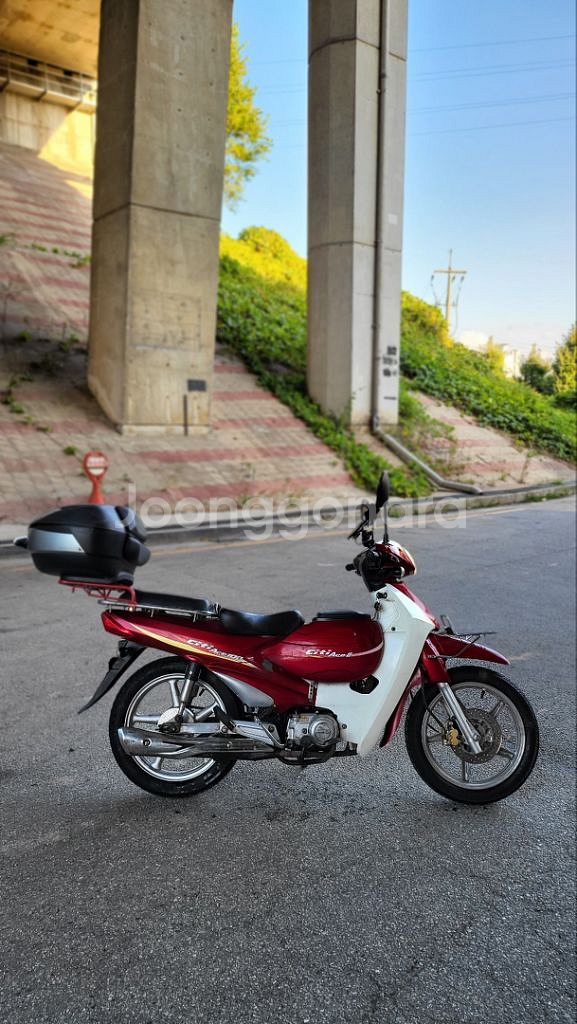 시티에이스100 (2019)--3