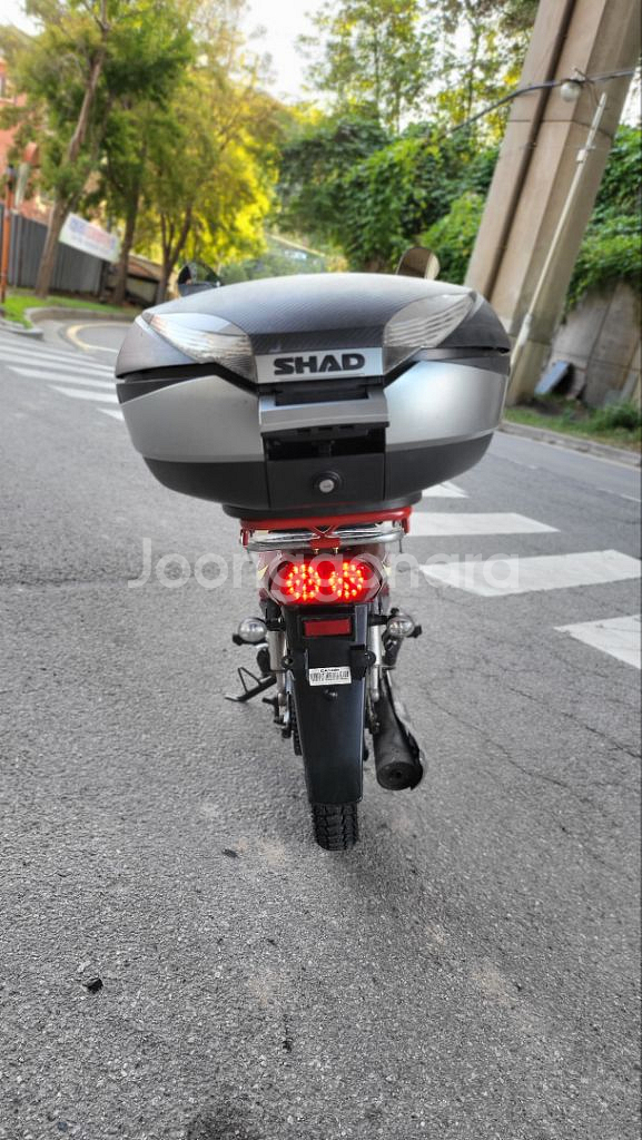 시티에이스100 (2019)--5