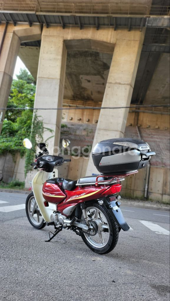 시티에이스100 (2019)--6