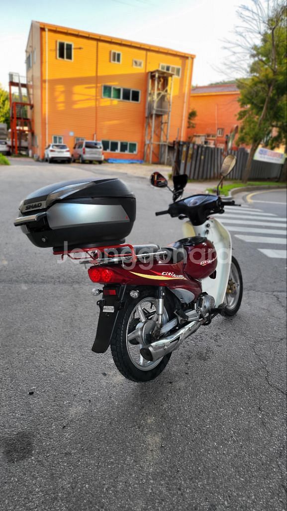 시티에이스100 (2019)--7