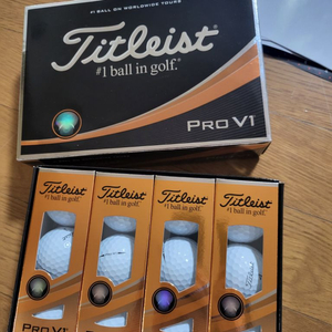 타이틀리스트 pro v1 6구