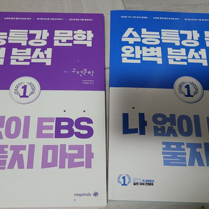 메가스터디 전형태 수능특강문학 완벽분석