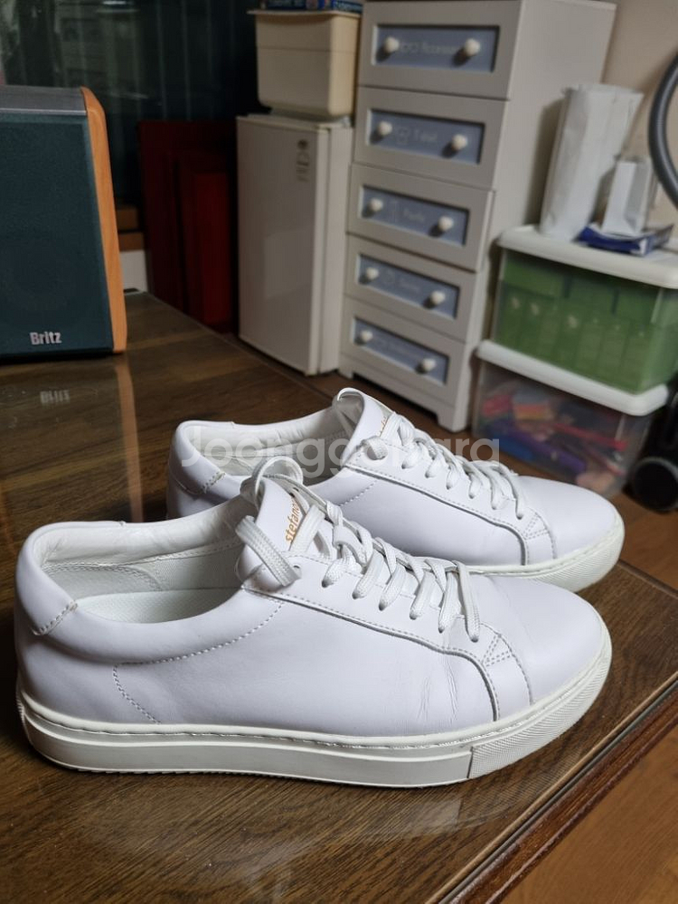 스테파노로시 스니커즈 255사이즈--1