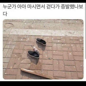 베라파인트쿠폰