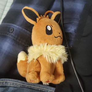 이브이인형
