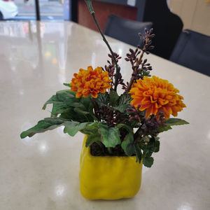 인테리어 소품 조화