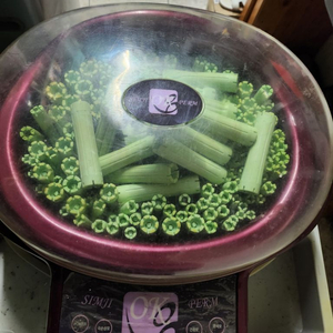 미용 기계 옥펌 기계 팝니다.