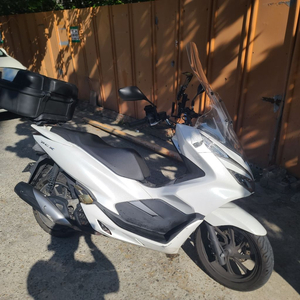 pcx 19년식