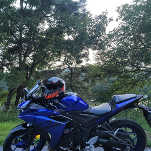 yzf-r3