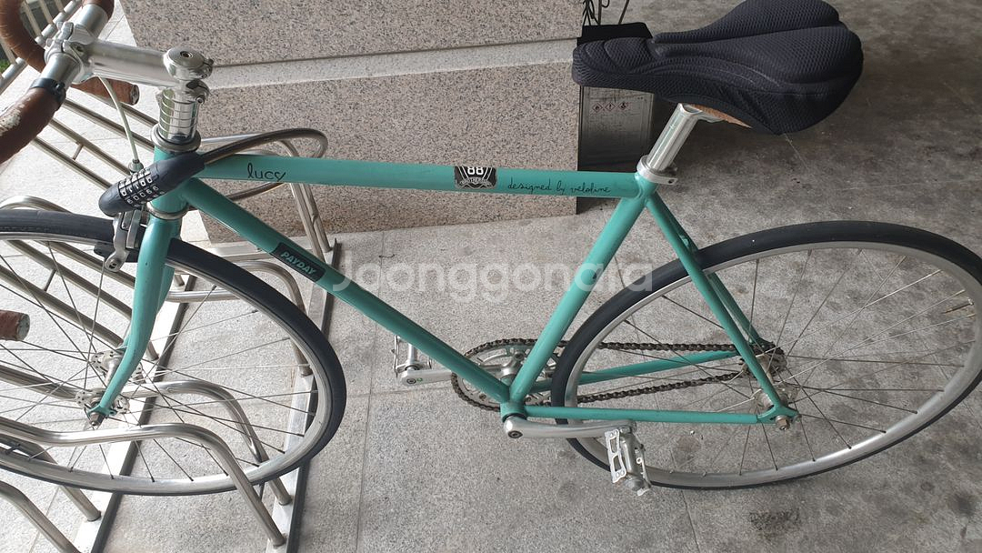벨로라인 루시픽시자전거--4