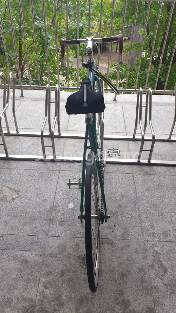 벨로라인 루시픽시자전거--5