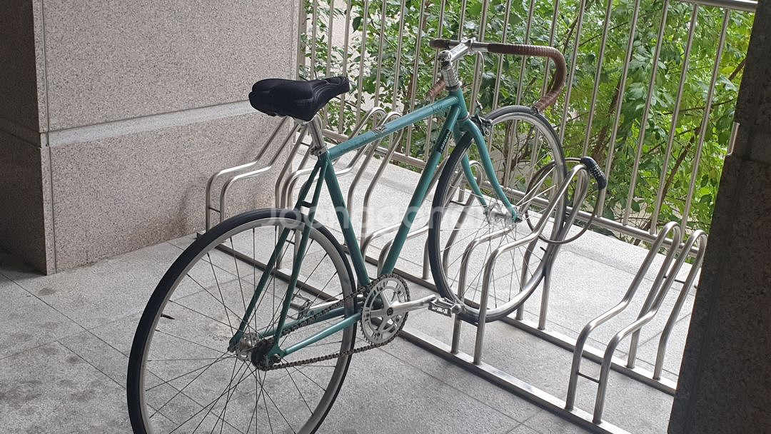 벨로라인 루시픽시자전거--0