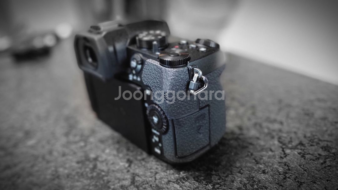 루믹스 g95(렌즈 2개 일괄)--4