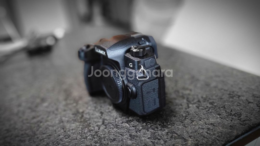 루믹스 g95(렌즈 2개 일괄)--2