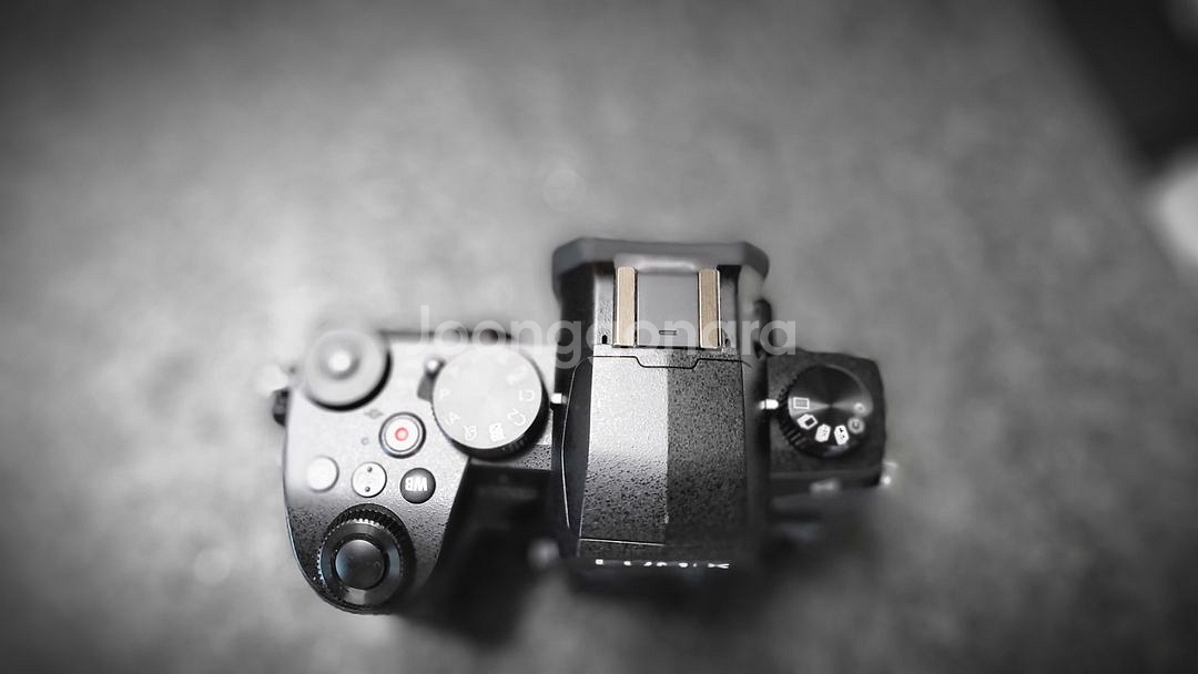 루믹스 g95(렌즈 2개 일괄)--1