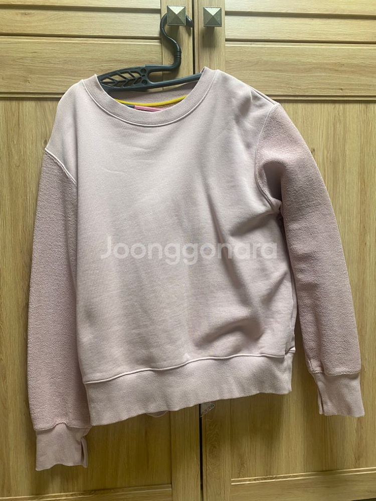 코스모폴리탄줄라이 자수 스웻 피치--0