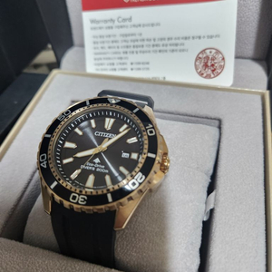 시티즌 프로마스터 에코드라이브 44mm