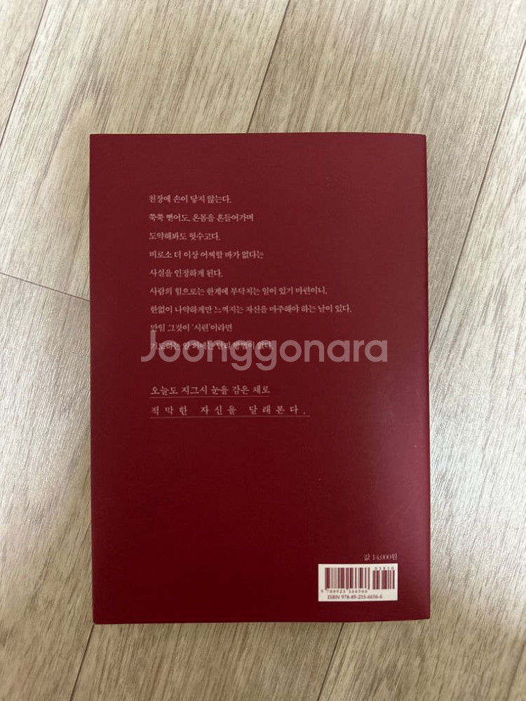 나는 어른이 되어서도 가끔 울었다--1