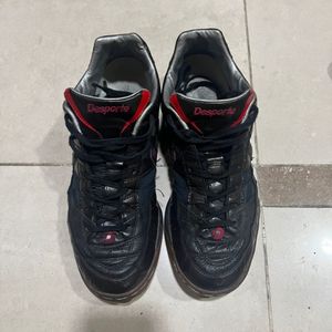 데스포르치 테사라이트 275