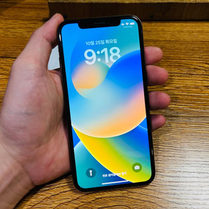 아이폰XS 512GB 골드 (Face ID 불가)