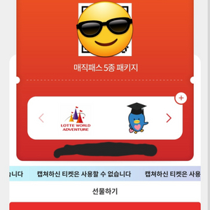 롯데월드 입장권 매가패스 5회 2매 패키지