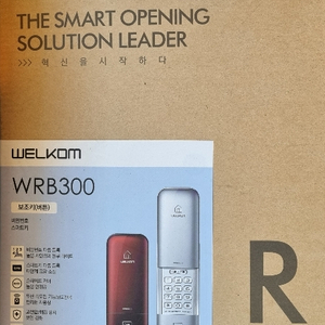 도어락 WRB300