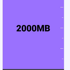 KT데이터 2000MB