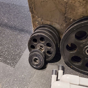 중량원판 5kg, 1.5kg