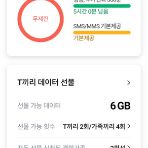 sk데이터 2기가