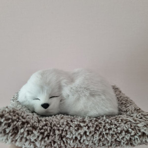 인형