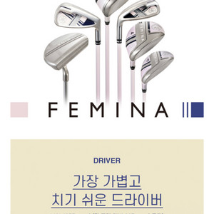 2023 Femina 골프채 풀세트 새것