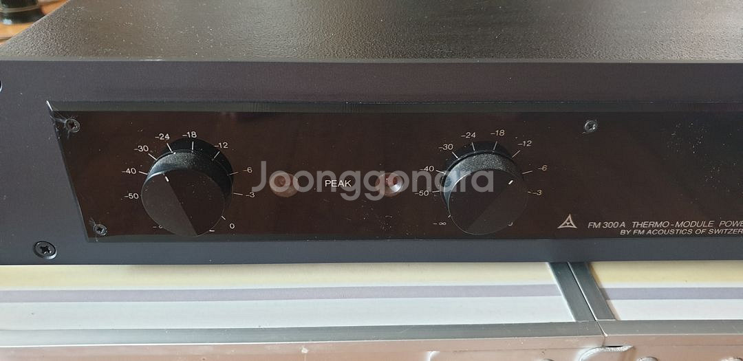 FM ACOUSTICS 300A 파워앰프--3