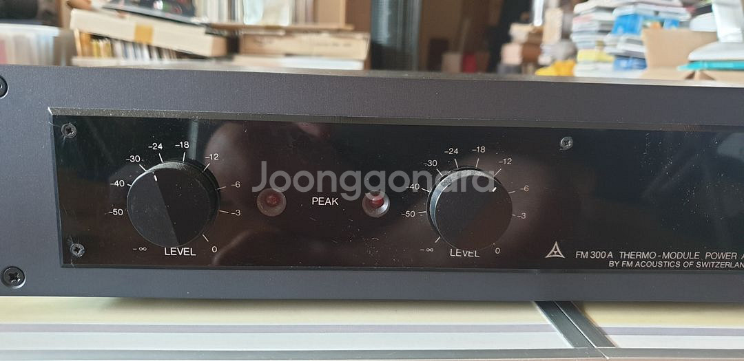 FM ACOUSTICS 300A 파워앰프--2