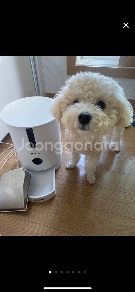 펫토이 자동급식기 강아지 급여 밥 고양이 애견--0