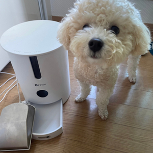 펫토이 자동급식기 강아지 급여 밥 고양이 애견