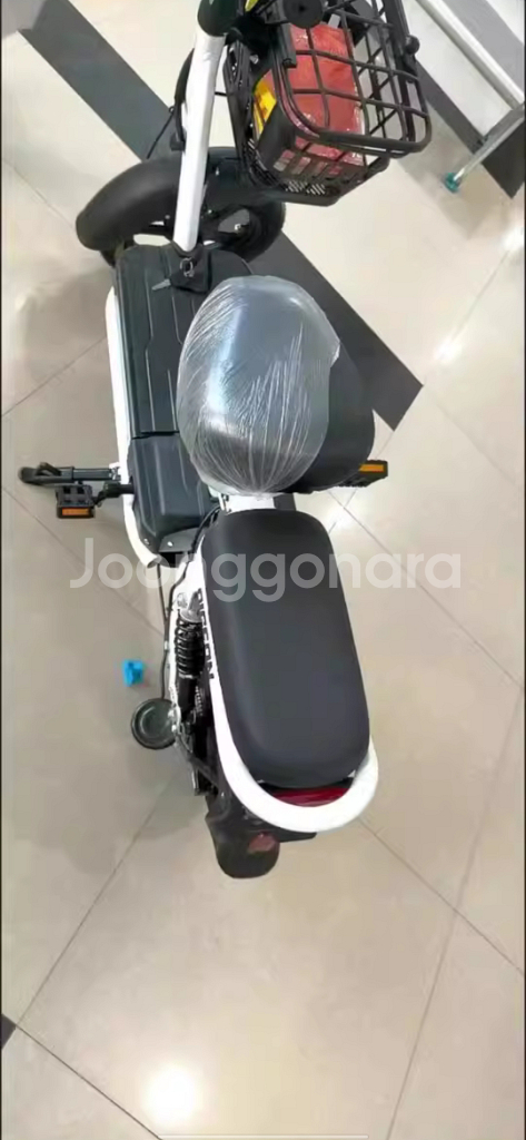 전기자전거--1