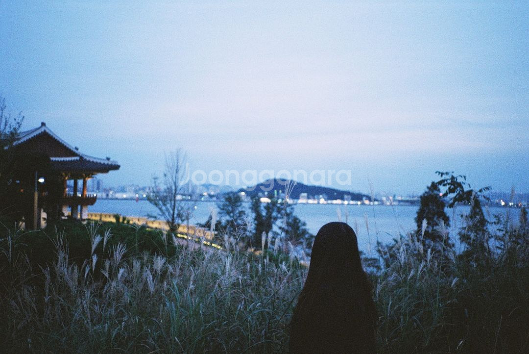 코니카c35--3