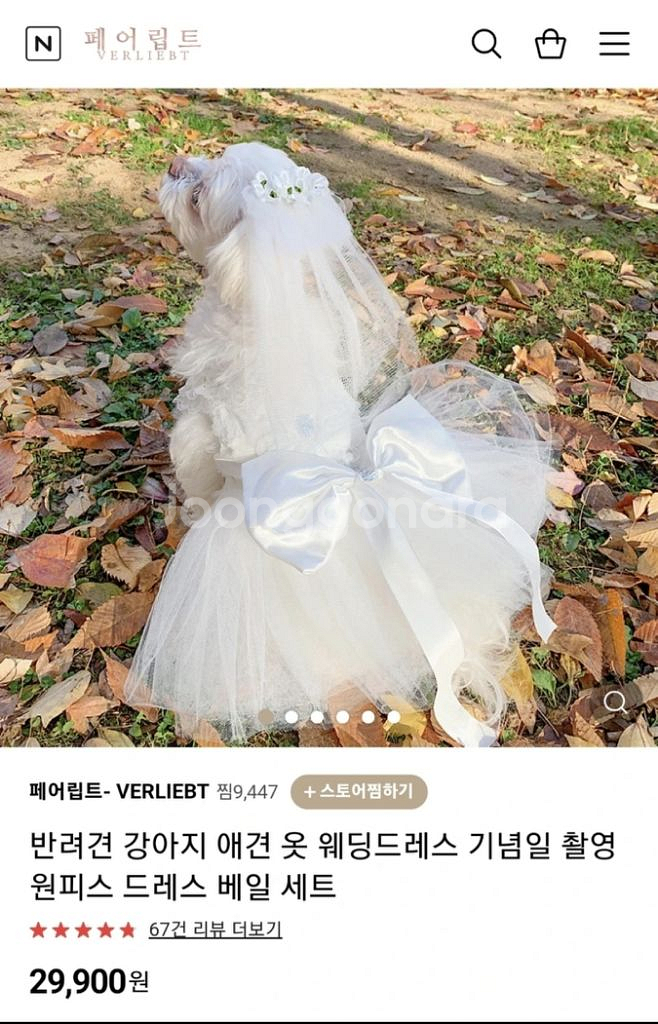 페어트립 강아지 웨딩드레스 판매합니다--1