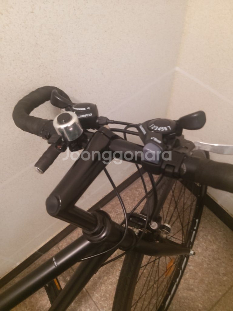 거의 새자전거--4