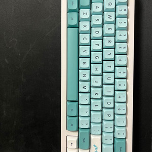 qk65 화이트 골든