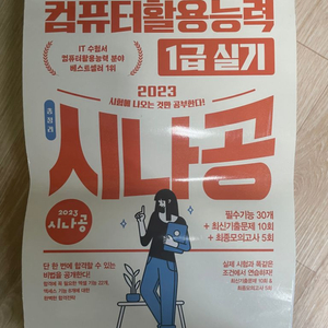 시나공컴퓨터활용능력 1급 실기