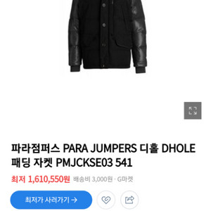 파라점퍼스 디홀