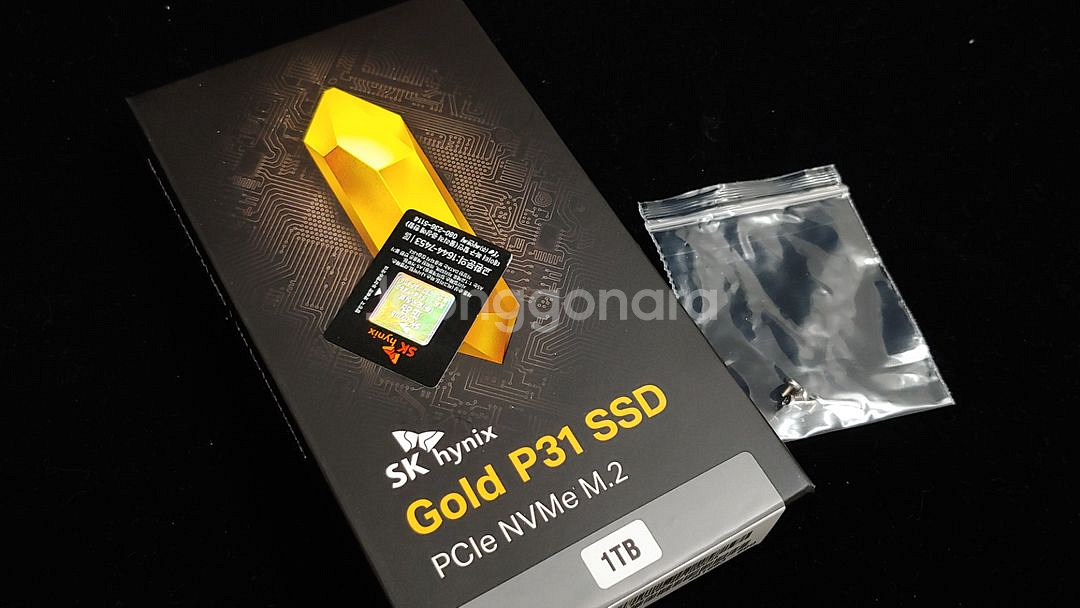 하이닉스 P31 SSD 1TB--1