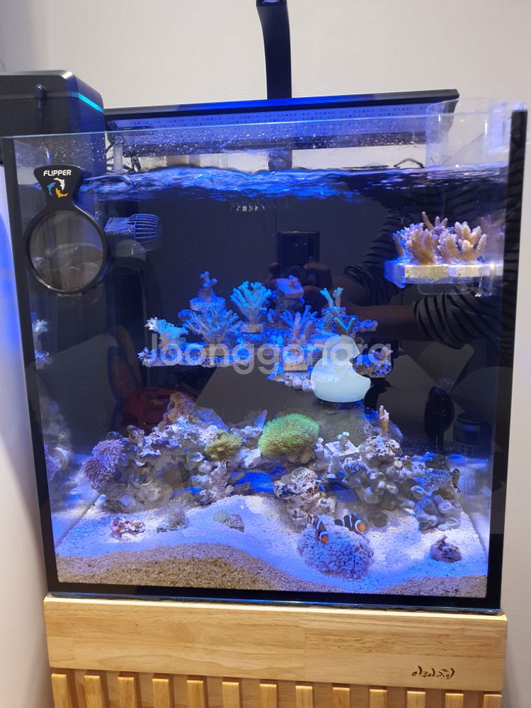 섬프코리아 블루마린 딥씨 450 해수 조명 블루 led--0