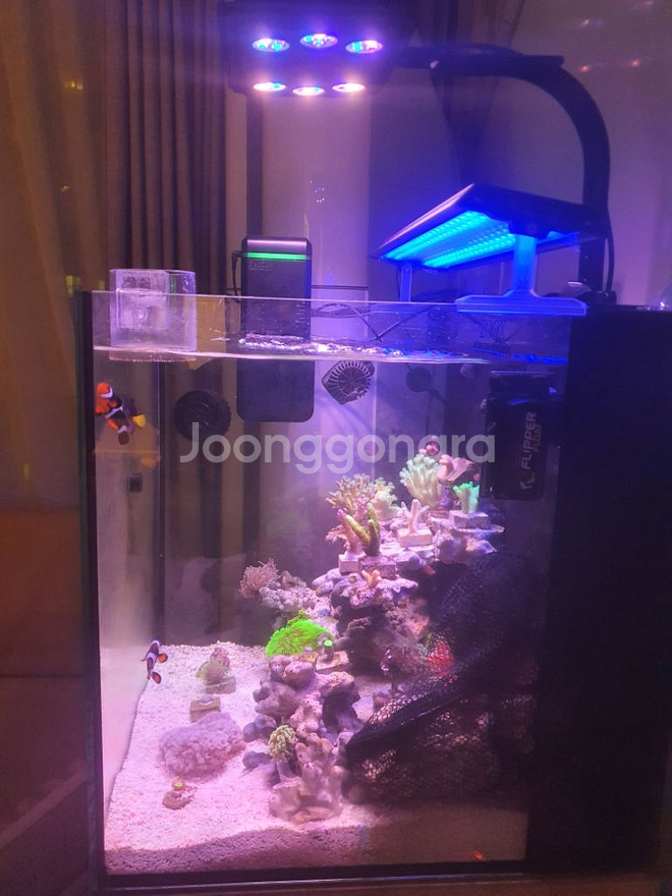 섬프코리아 블루마린 딥씨 450 해수 조명 블루 led--1