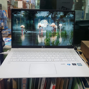 LG그램 15Z990-VP50ML 중고