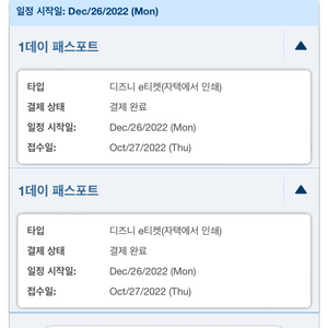 도쿄디즈니랜드