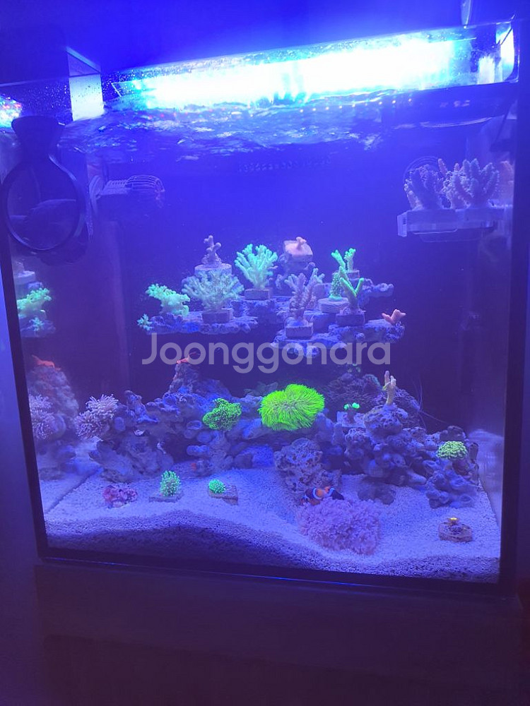섬프코리아 블루마린 딥씨 450 해수 led 조명--8