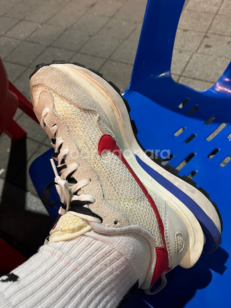 나아키 사카이 로얄 푸시아--2