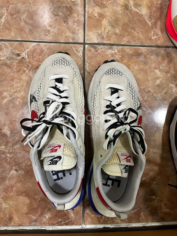 나아키 사카이 로얄 푸시아--0